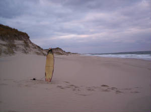 surfday006.jpg